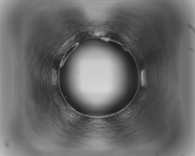 X0000100841443200806201139