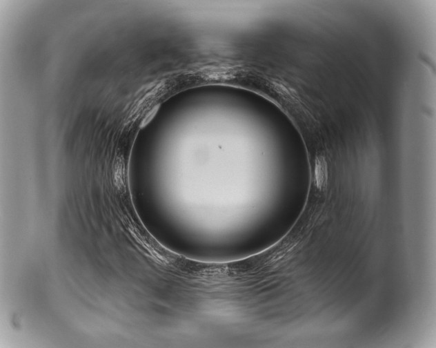 X0000100841444200806201139