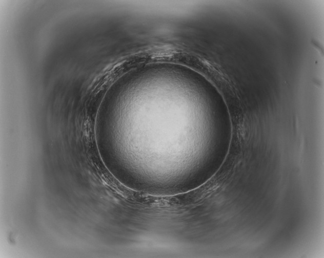 X0000100841445200806201139