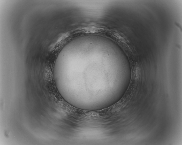 X0000100841446200806201139