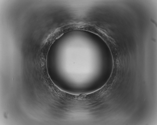 X0000100841447200806201139