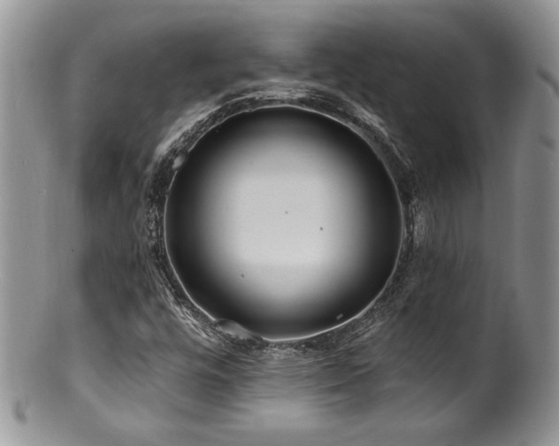 X0000100841448200806201139