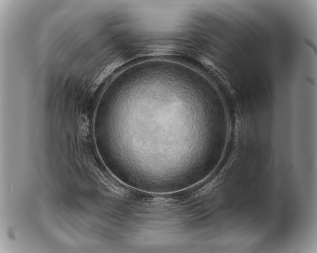 X0000100841449200806201139