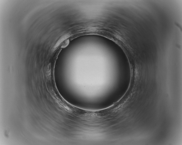 X0000100841450200806201139