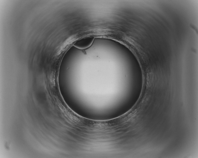 X0000100841451200806201139