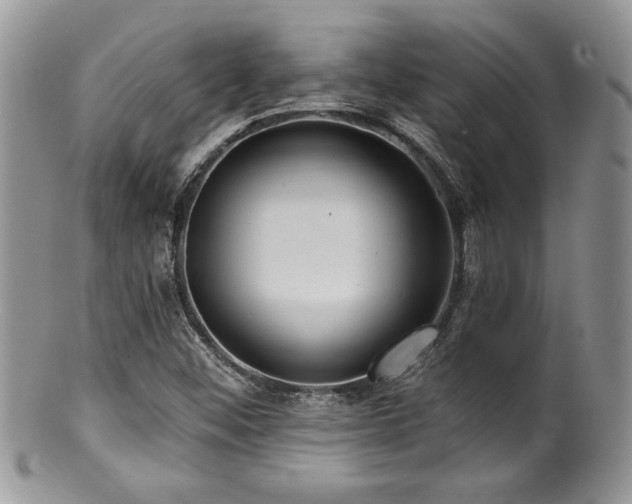 X0000100841452200806201139