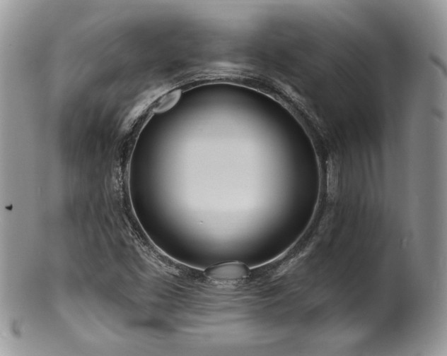 X0000100841453200806201139