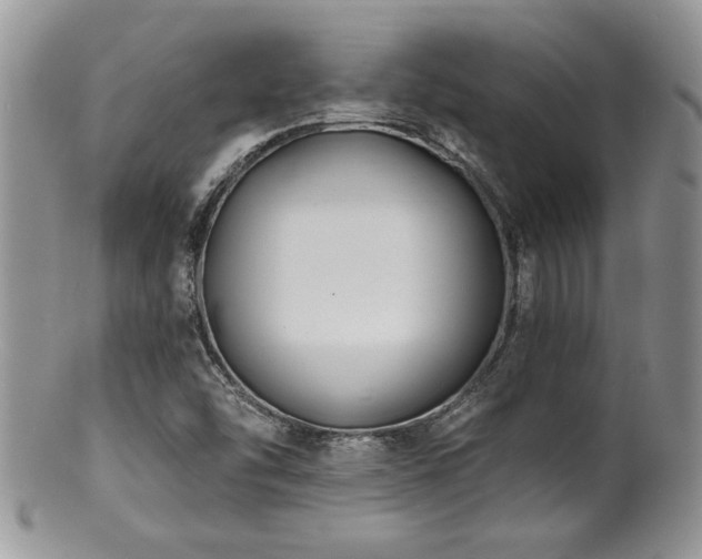 X0000100841454200806201139