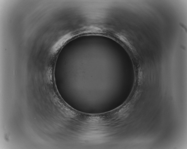 X0000100841455200806201139