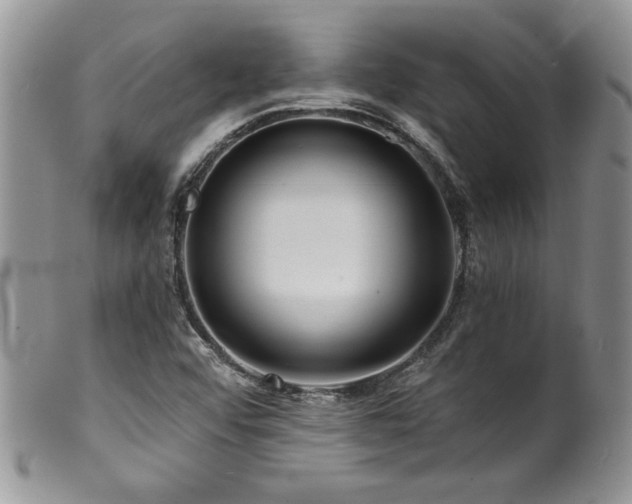 X0000100841456200806201139