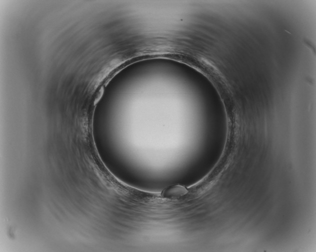 X0000100841457200806201139