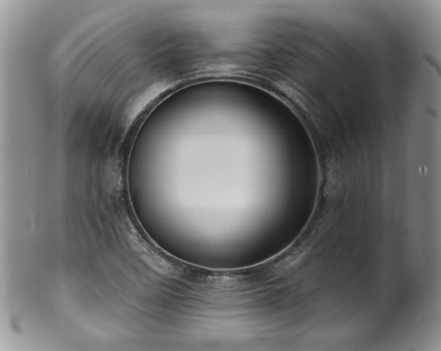 X0000100841458200806201139