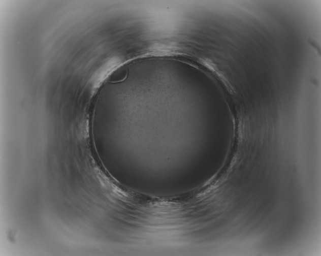 X0000100841459200806201139