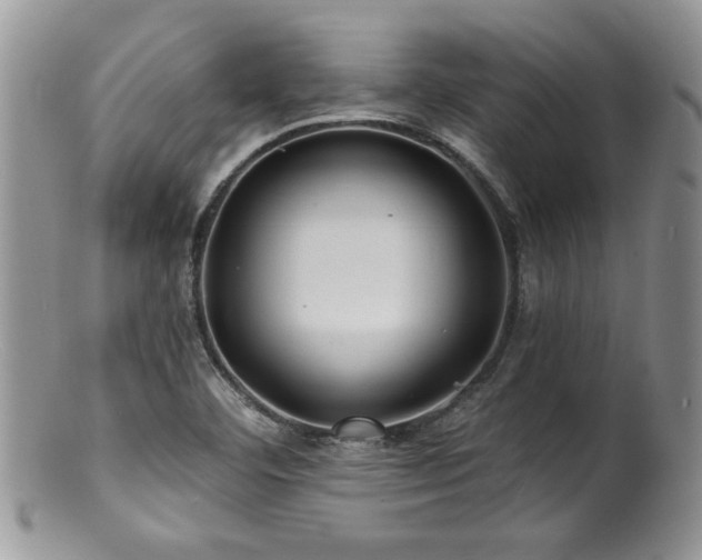 X0000100841460200806201139