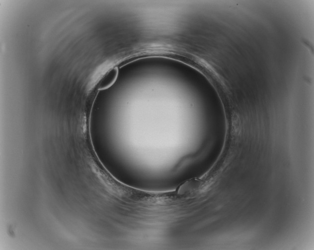 X0000100841461200806201139