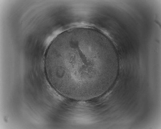 X0000100841463200806201139