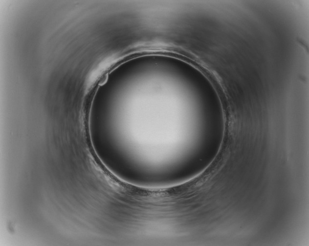 X0000100841464200806201139