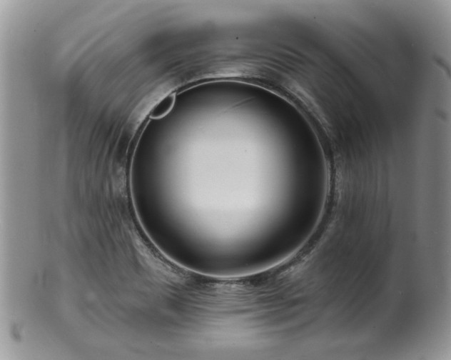 X0000100841465200806201139