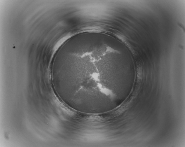 X0000100841466200806201139