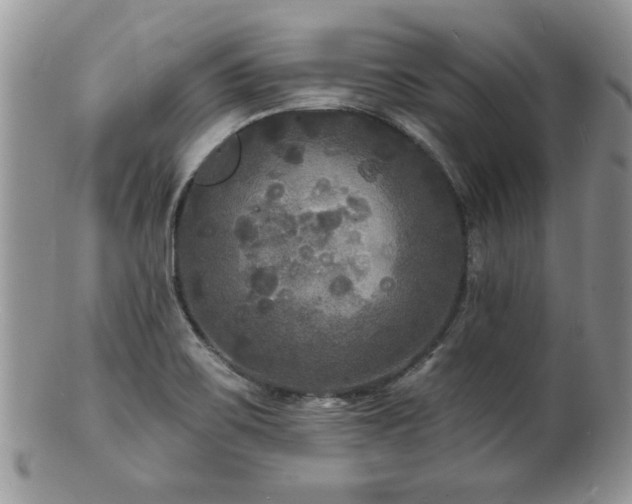 X0000100841467200806201139