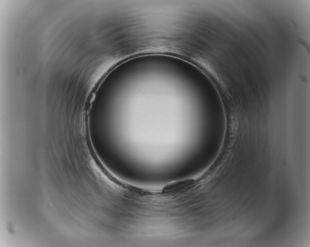 X0000100841468200806201139