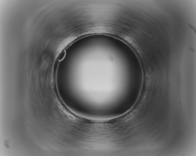 X0000100841469200806201139