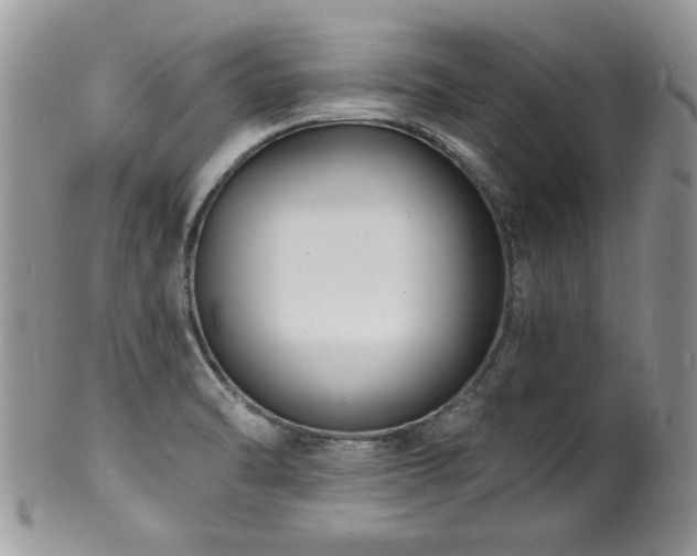 X0000100841470200806201139