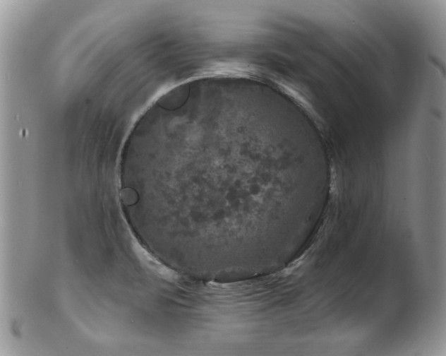 X0000100841471200806201139