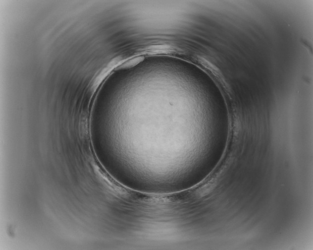 X0000100841473200806201139