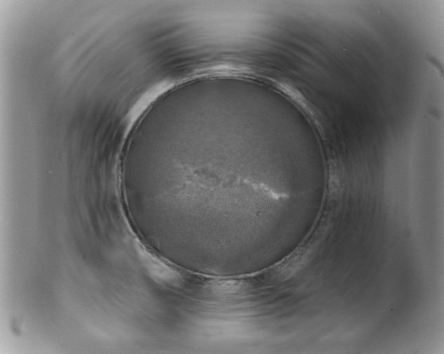 X0000100841474200806201139