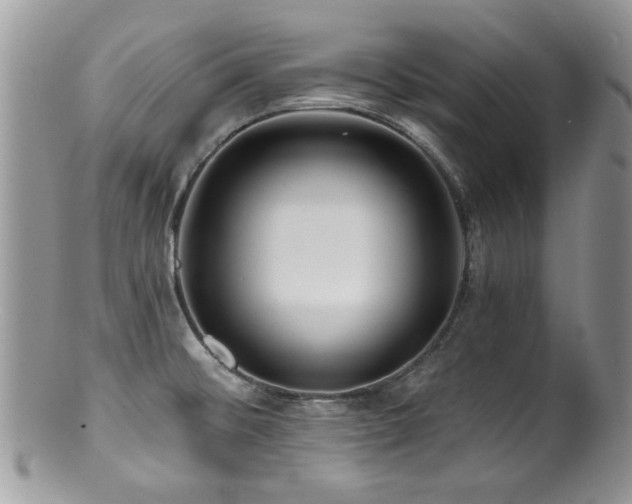 X0000100841476200806201139