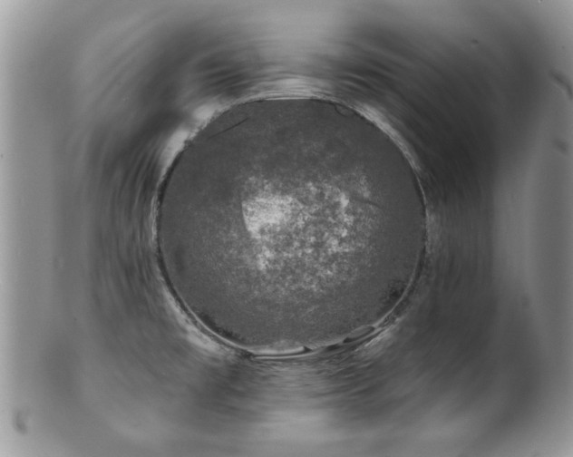 X0000100841477200806201139