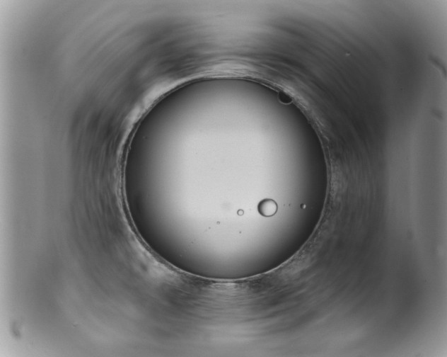 X0000100841478200806201139