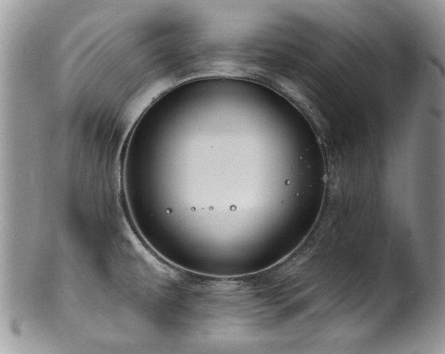 X0000100841479200806201139