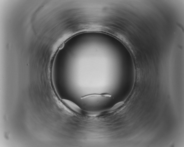 X0000100841480200806201139