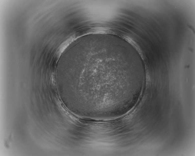 X0000100841481200806201139