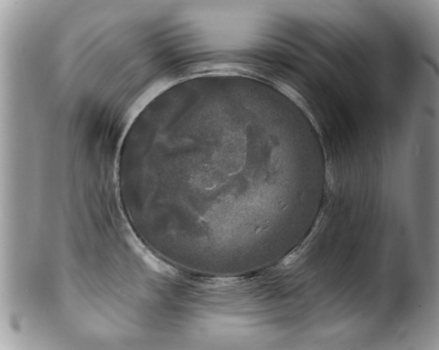 X0000100841482200806201139