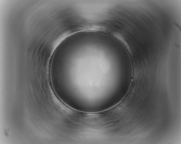 X0000100841483200806201139