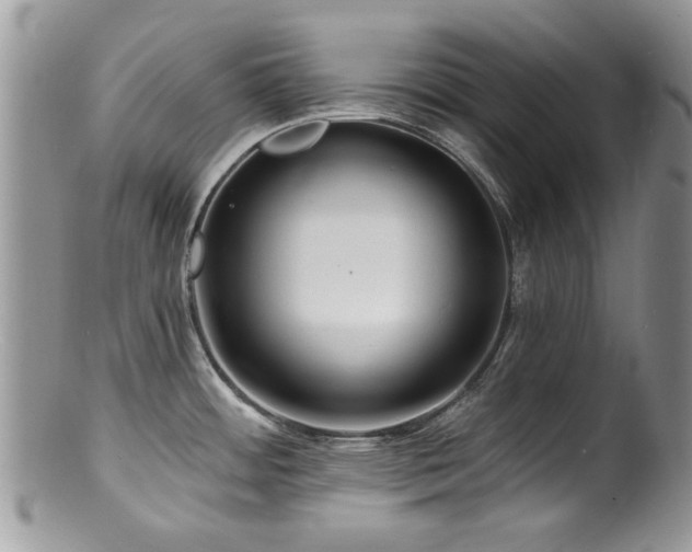 X0000100841484200806201139