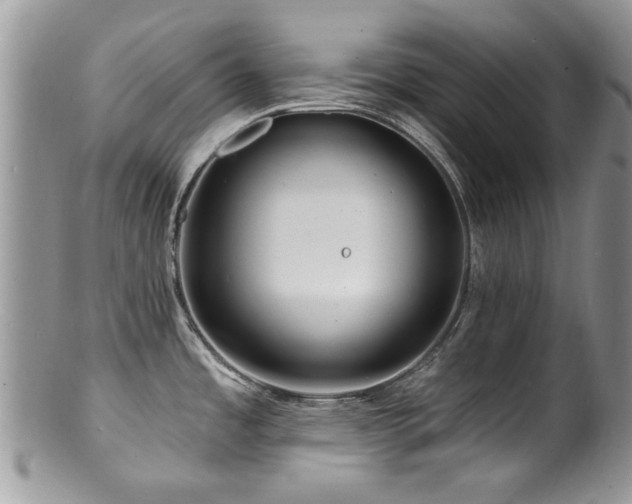 X0000100841485200806201139