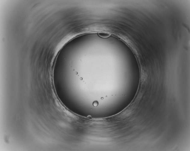 X0000100841486200806201139