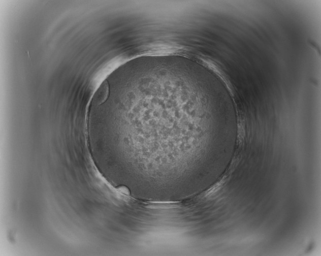 X0000100841487200806201139