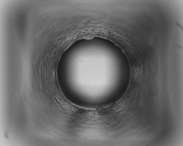 X0000100841489200806201138