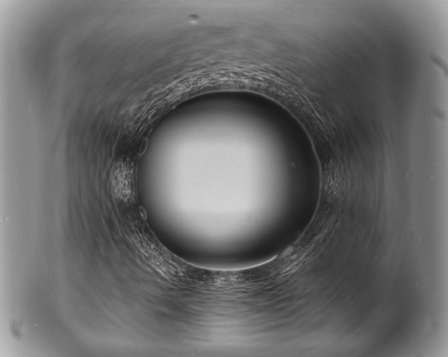 X0000100841490200806201138