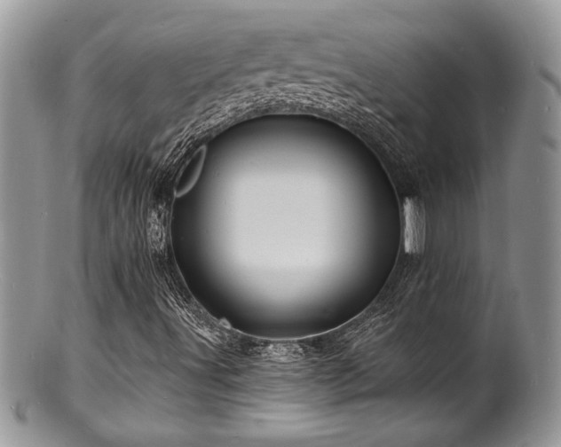 X0000100841491200806201138