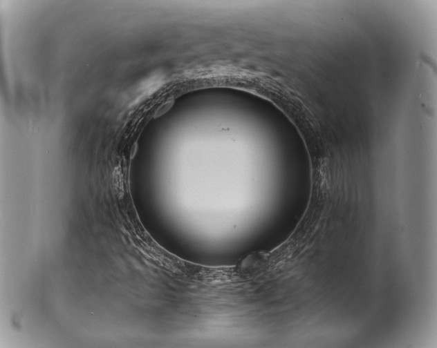 X0000100841493200806201138