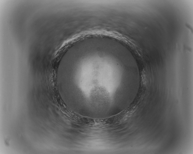 X0000100841494200806201138