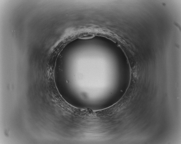 X0000100841495200806201138