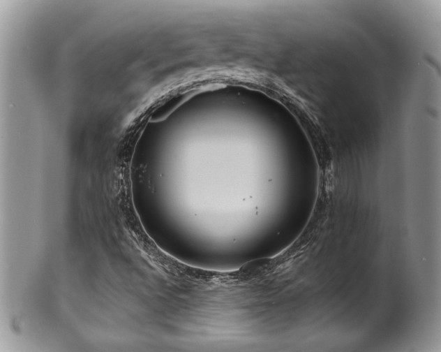 X0000100841496200806201138