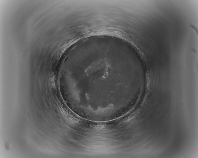 X0000100841497200806201138